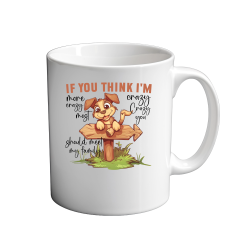 If you think im more crazy 11oz Mug